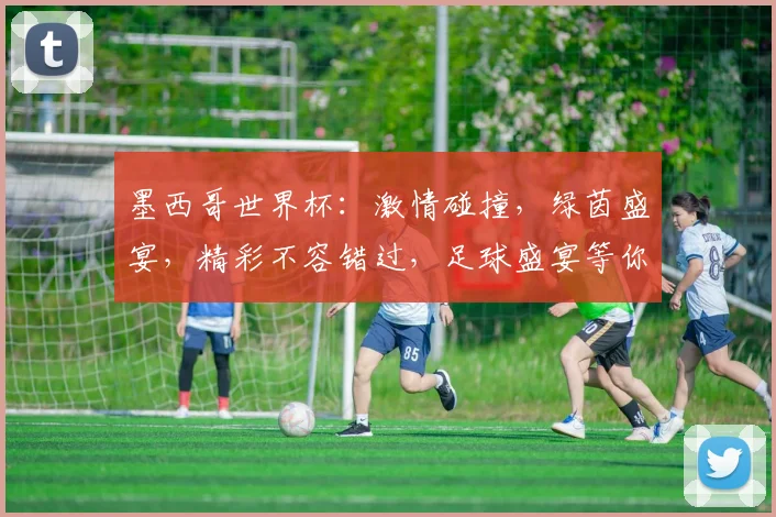 墨西哥世界杯：激情碰撞，绿茵盛宴，精彩不容错过，足球盛宴等你来
