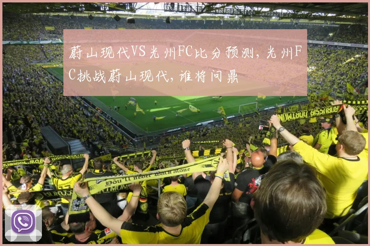 蔚山现代VS光州FC比分预测,光州FC挑战蔚山现代,谁将问鼎