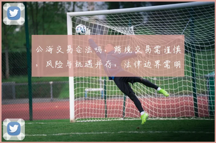 公海交易合法吗，跨境交易需谨慎，风险与机遇并存，法律边界需明确，三思而后行。
