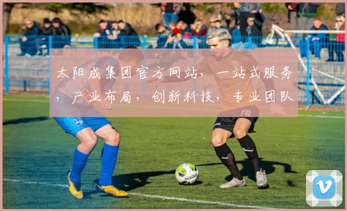太阳成集团官方网站，一站式服务，产业布局，创新科技，专业团队，值得信赖