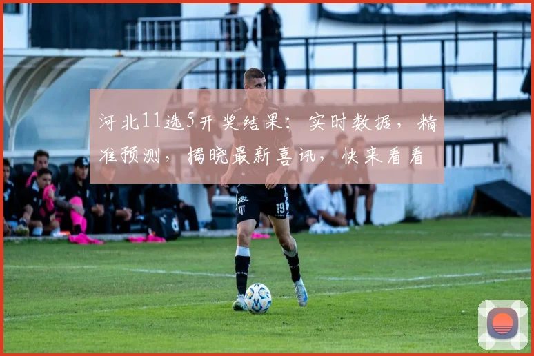 河北11选5开奖结果：实时数据，精准预测，揭晓最新喜讯，快来看看