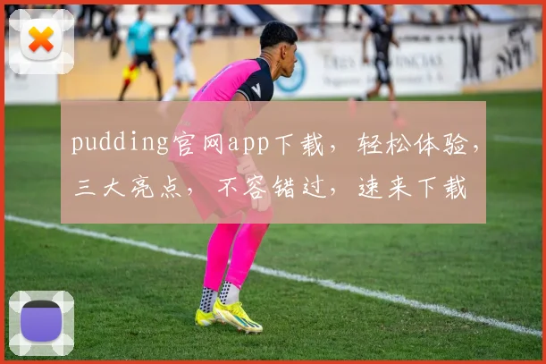 pudding官网app下载，轻松体验，三大亮点，不容错过，速来下载